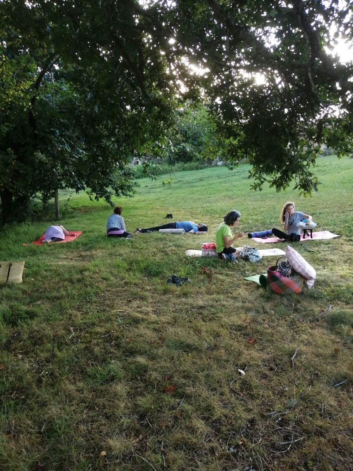 Eventos personalizados Socueto Santuario de Caballos (2)