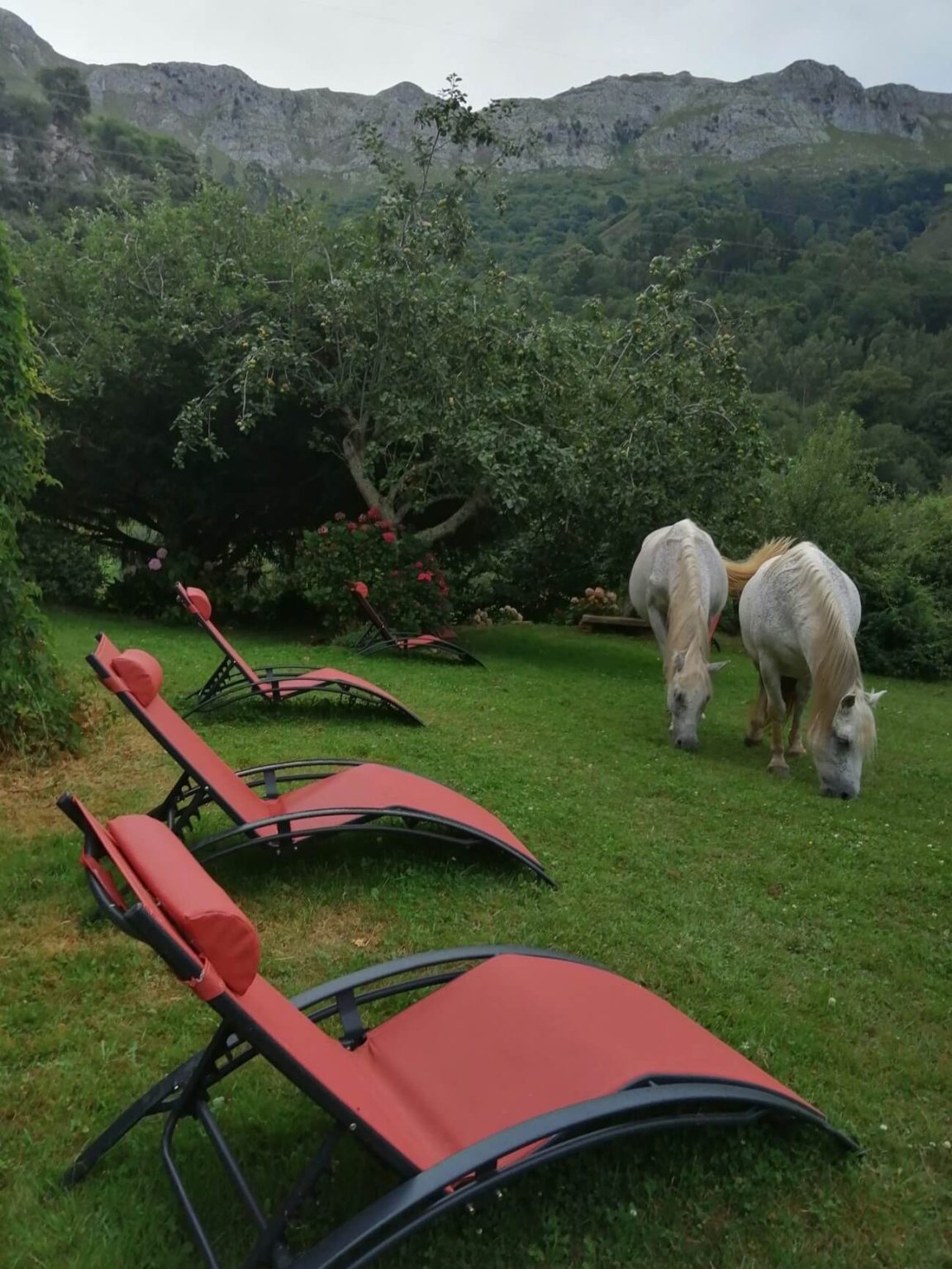 Eventos personalizados Socueto Santuario de Caballos (4)