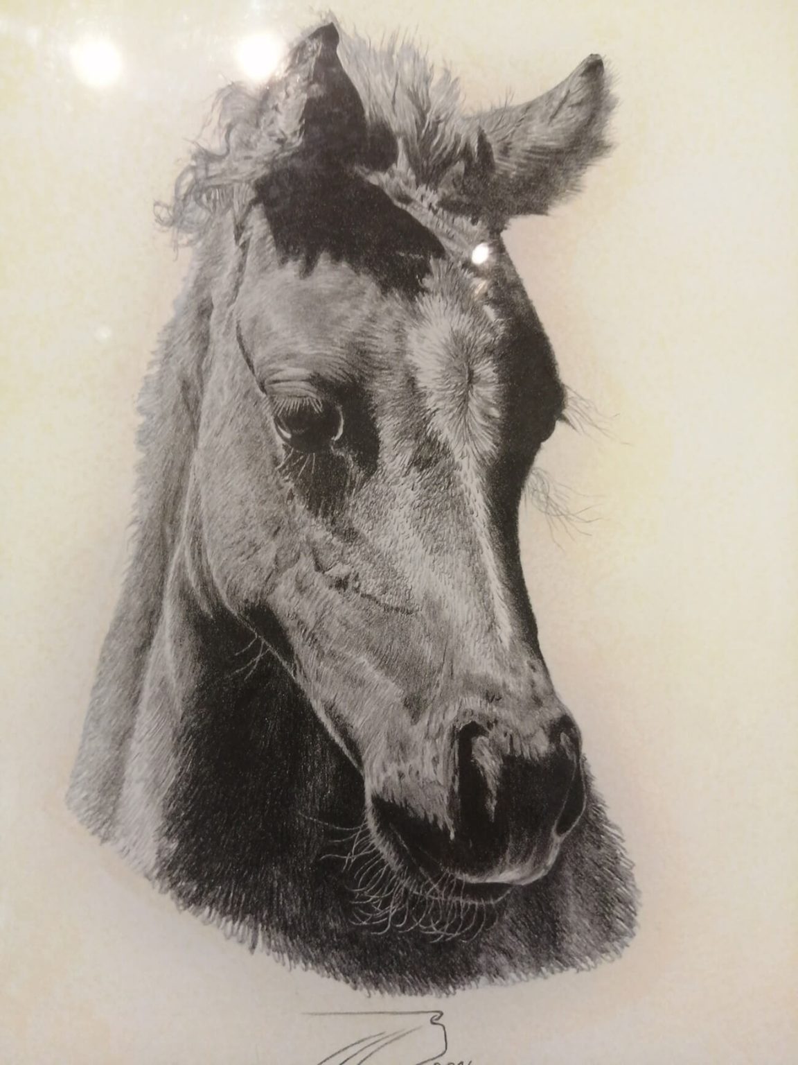 Taller de técnicas pictóricas Socueto Santuario de Caballos (1)