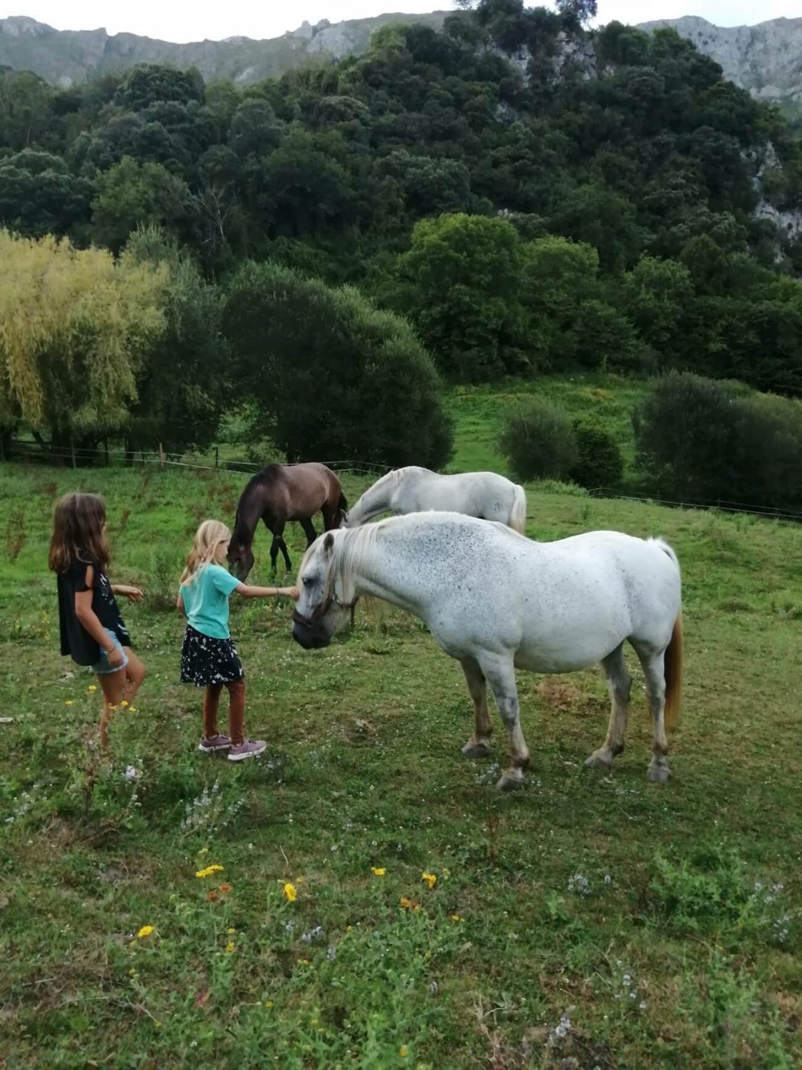 Talleres educativos Socueto Santuario (1)