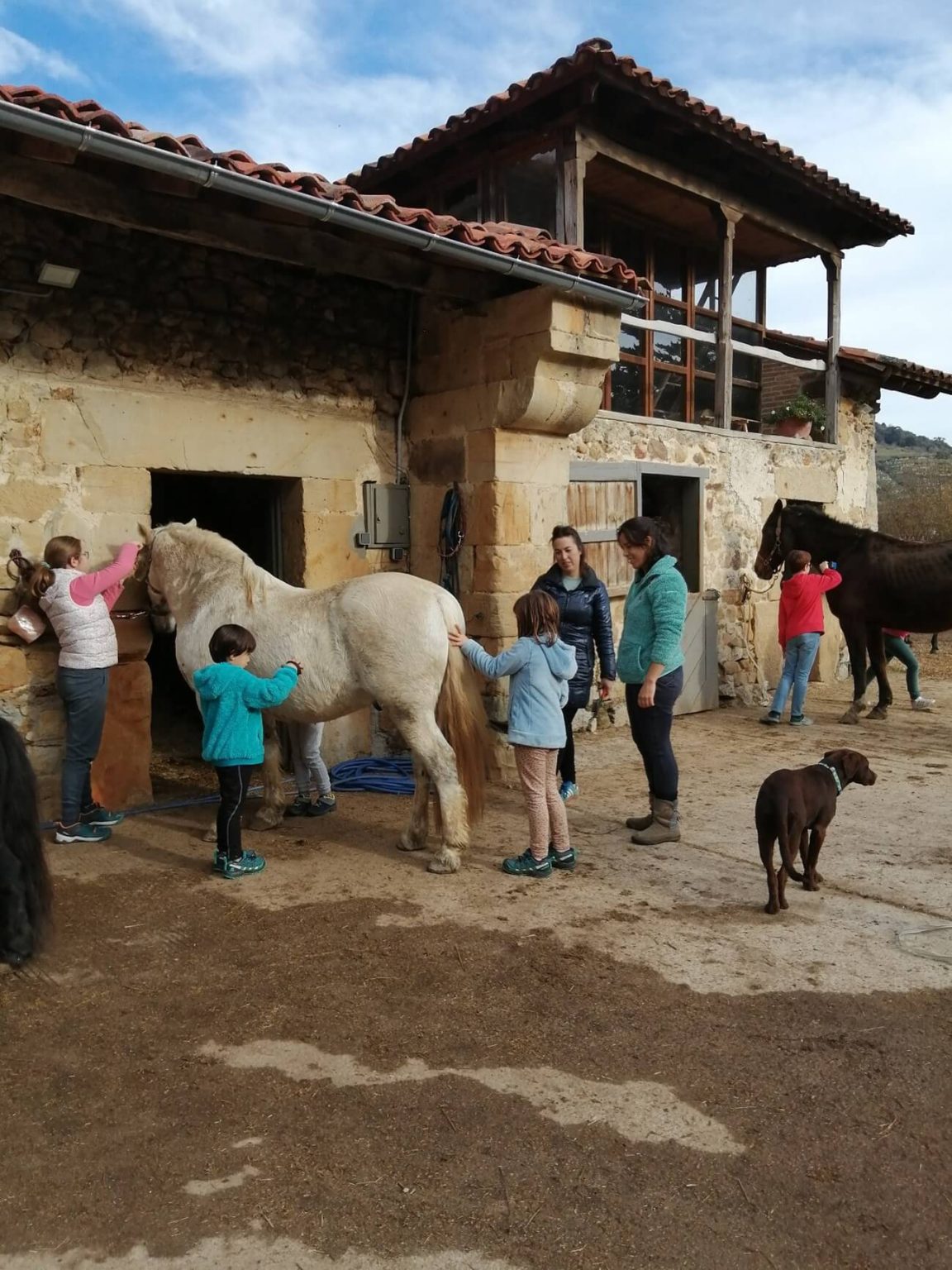 Talleres educativos Socueto Santuario (2)