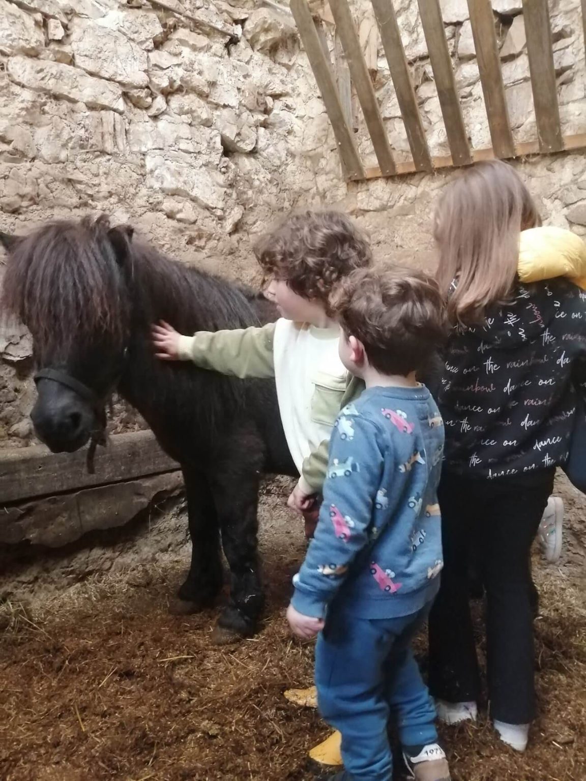 Talleres educativos Socueto Santuario (3)